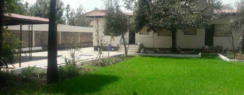 image (1)