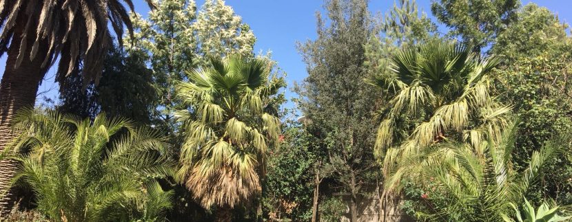 IMG-20180212-WA0011